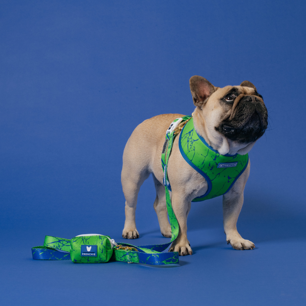 Frenchie Duo Reversible Harness - Green Marble by Frenchie Bulldog