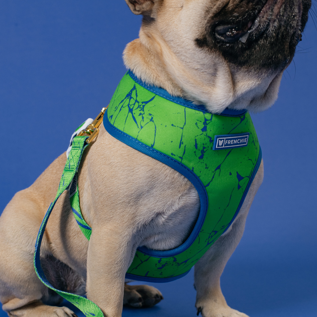 Frenchie Duo Reversible Harness - Green Marble by Frenchie Bulldog