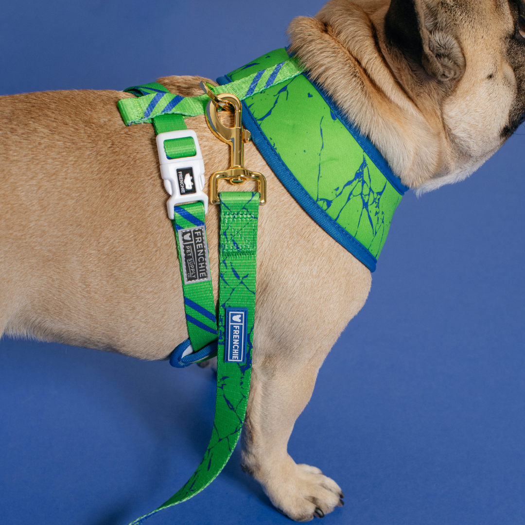 Frenchie Duo Reversible Harness - Green Marble by Frenchie Bulldog