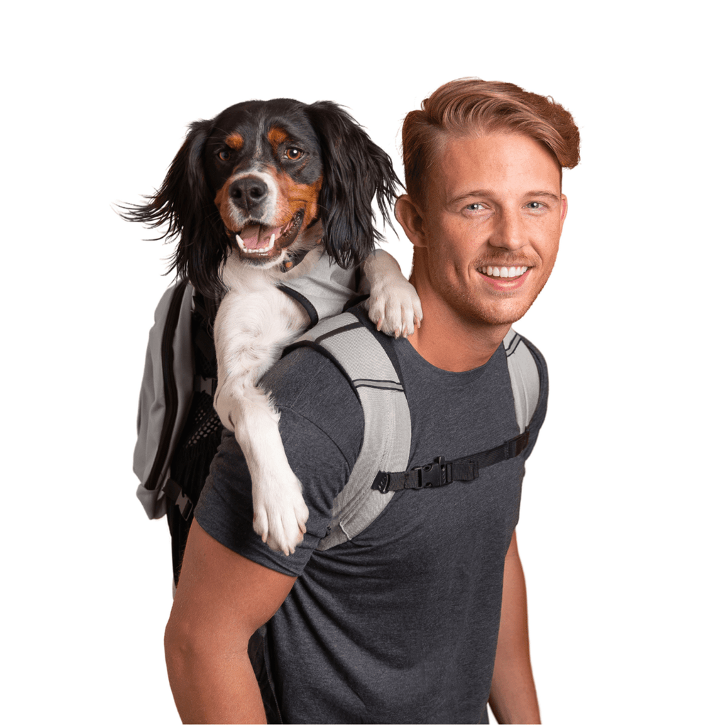 Plus 2 | Dog Carrier with Removable Storage by K9 Sport Sack