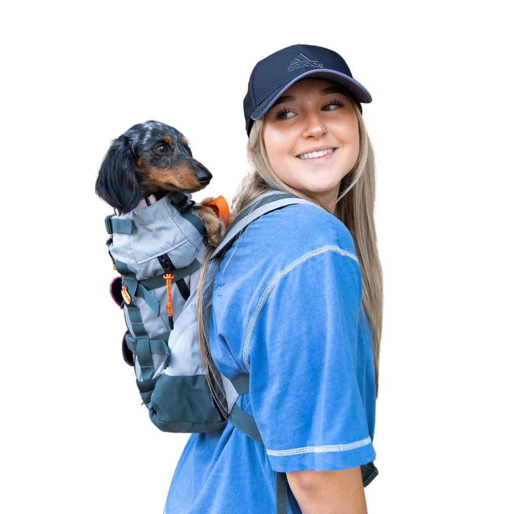 Urban 3 | Dual Use Dog Carrier & Traditional Backpack by K9 Sport Sack