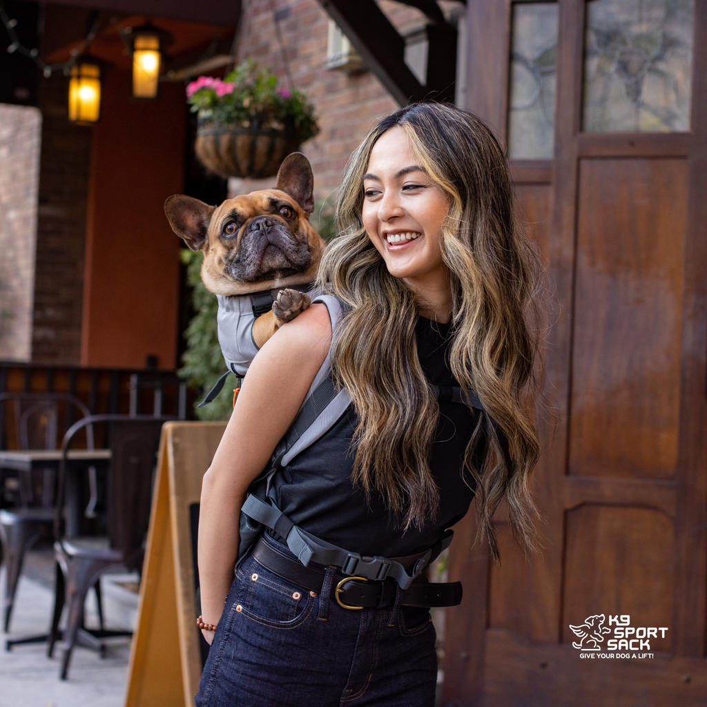 Urban 3 | Dual Use Dog Carrier & Traditional Backpack by K9 Sport Sack