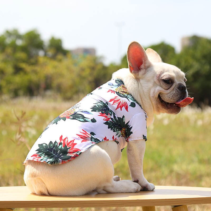Hawaiian Pet Shirts by Furr Baby Gifts