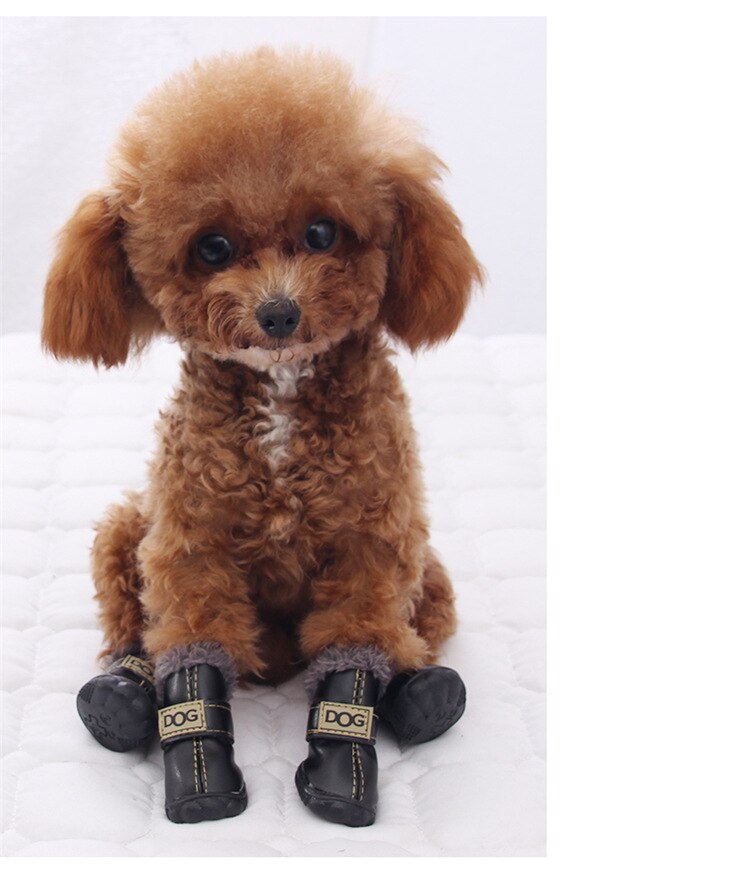 Dog Australia Waterproof Fleece-Lined Warm Dog Snow Boots by Furr Baby Gifts