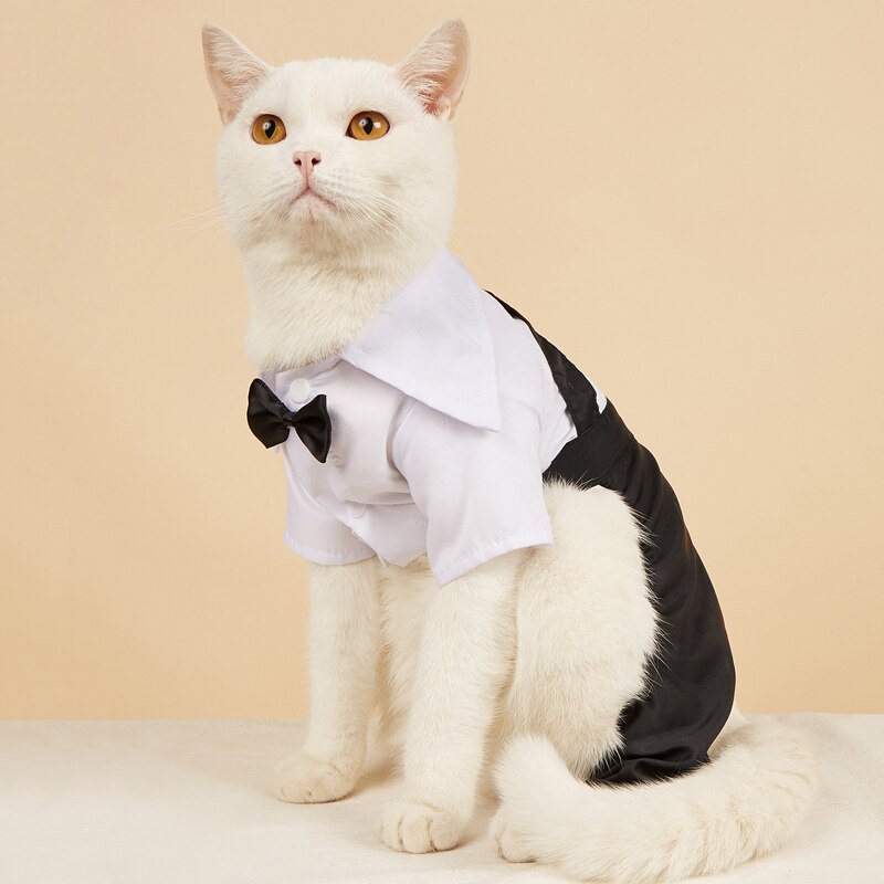 Handsome Stylish Pet Suit with Bow Tie by Furr Baby Gifts
