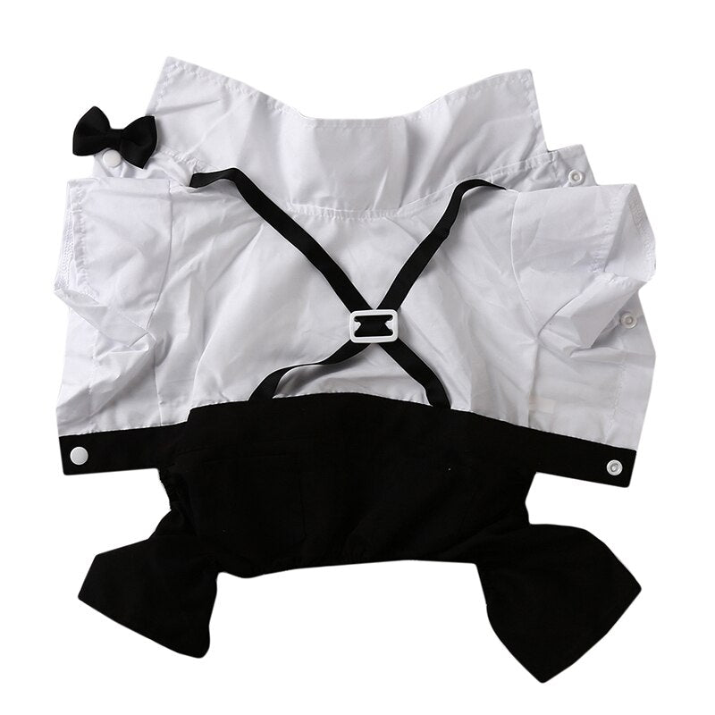 Handsome Stylish Pet Suit with Bow Tie by Furr Baby Gifts