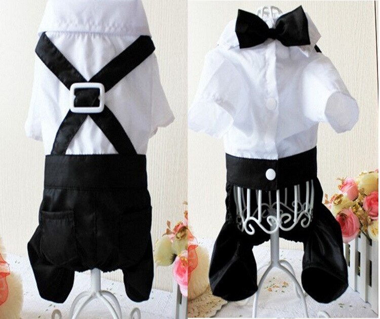 Handsome Stylish Pet Suit with Bow Tie by Furr Baby Gifts