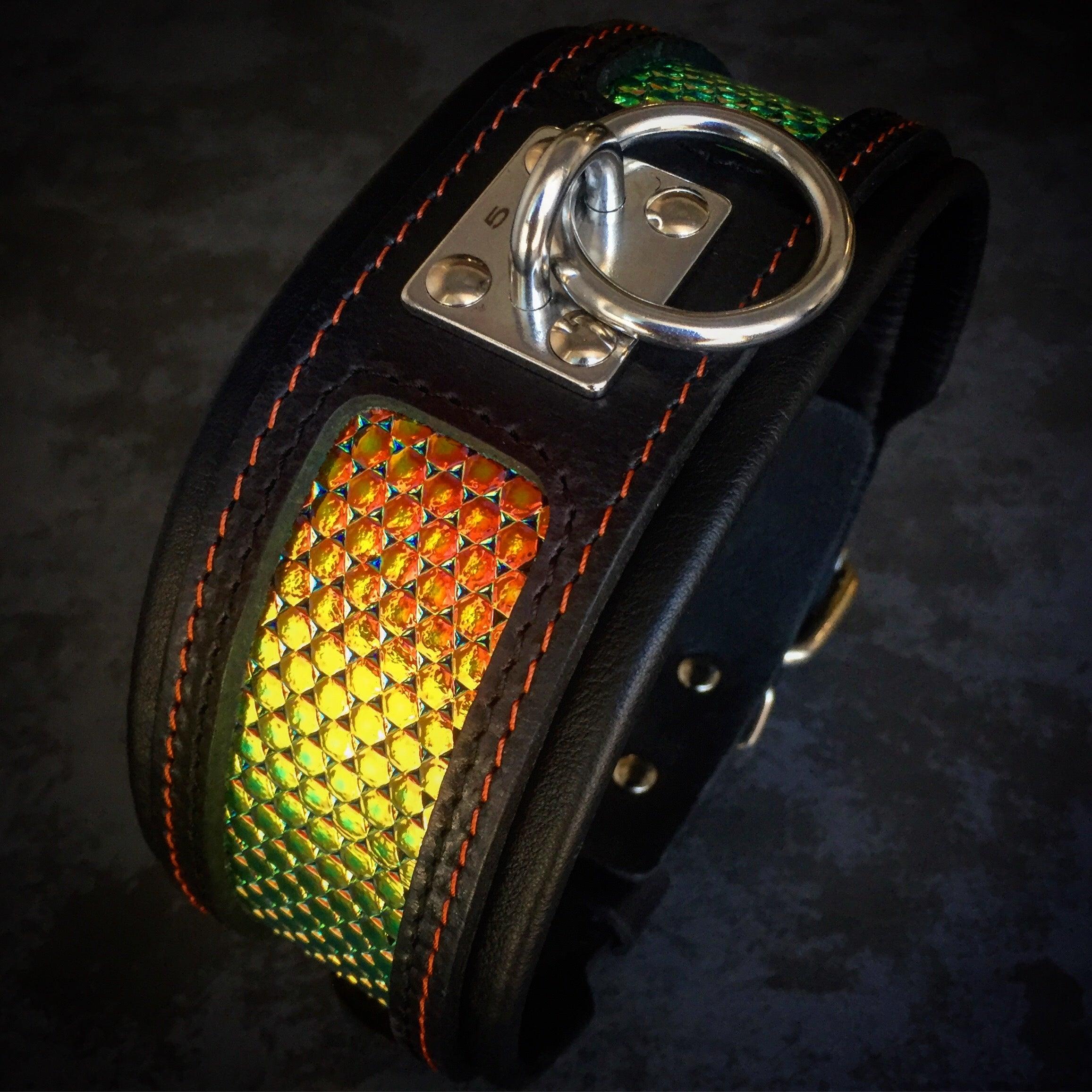 The ''D`Albertis'' collar by Bestia Dog Gear