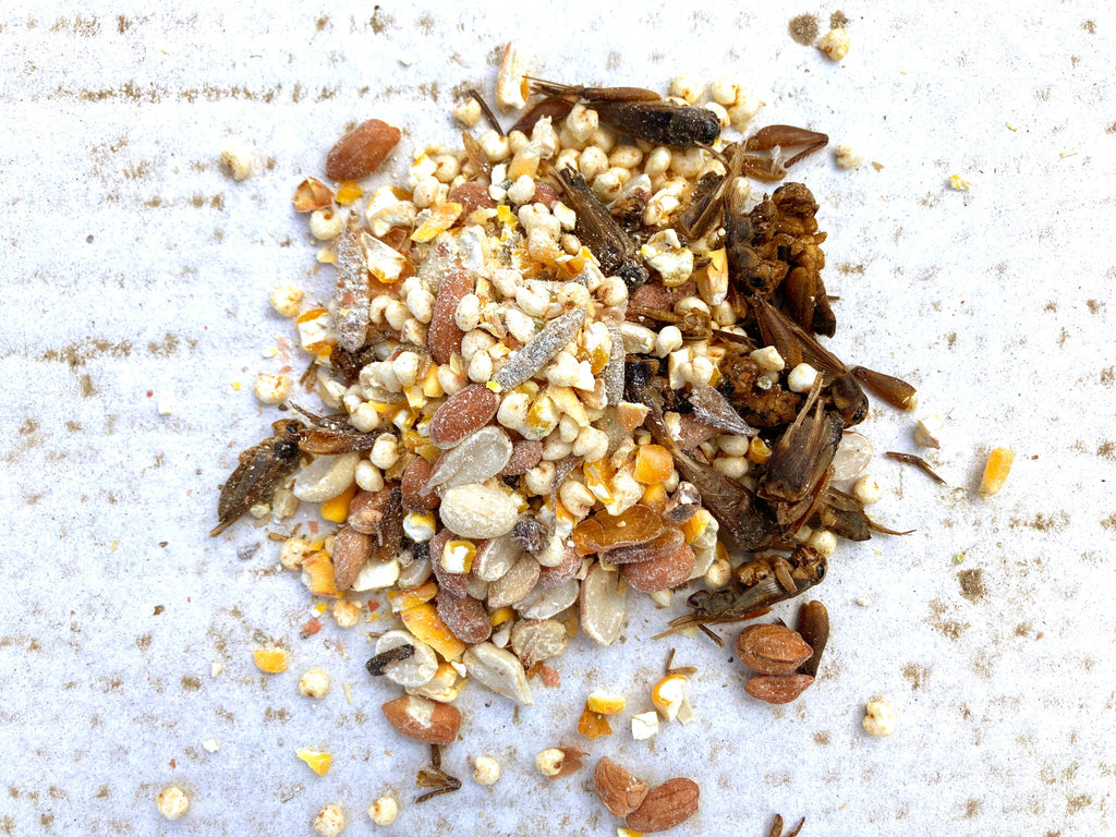 Henergy Textured Treat: Makes Cooped Chickens Happy! by Dahlia Pets