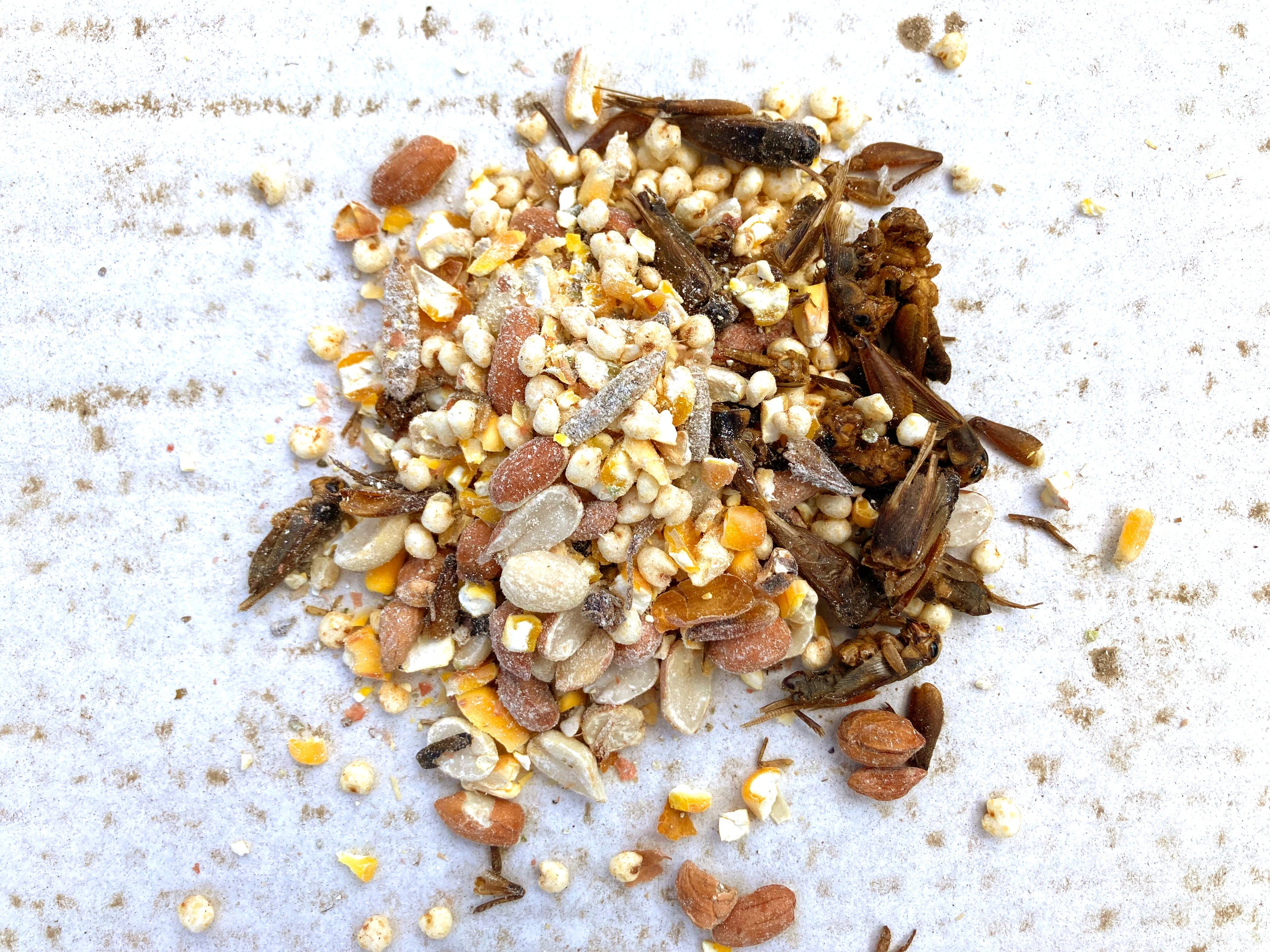 Henergy Textured Treat: Makes Cooped Chickens Happy! by Dahlia Pets