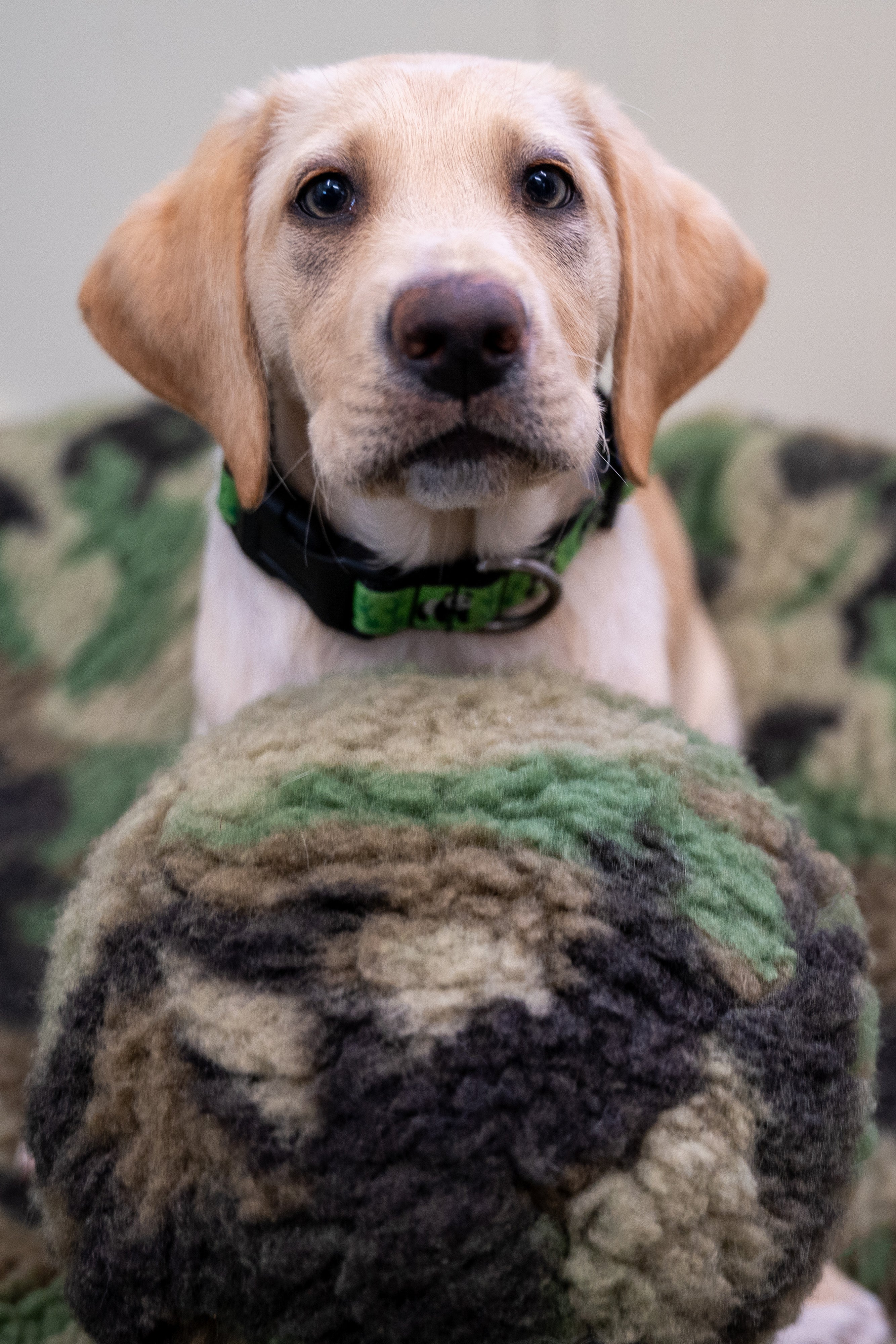 HuggleCause™, Warrior Canine Connection, Camouflage HuggleFleece® Plush Ball Dog Toy by HuggleHounds