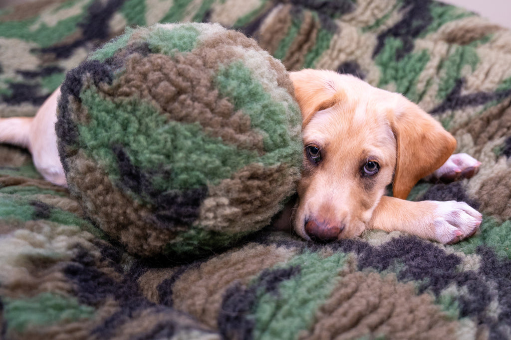 HuggleCause™, Warrior Canine Connection, Camouflage HuggleFleece® Plush Ball Dog Toy by HuggleHounds