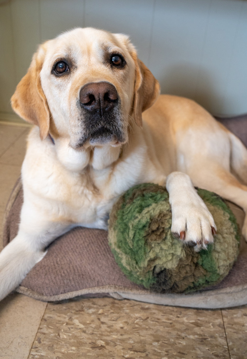 HuggleCause™, Warrior Canine Connection, Camouflage HuggleFleece® Plush Ball Dog Toy by HuggleHounds