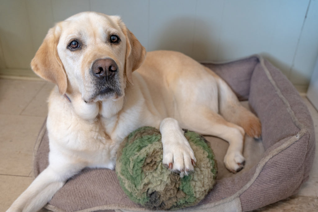 HuggleCause™, Warrior Canine Connection, Camouflage HuggleFleece® Plush Ball Dog Toy by HuggleHounds
