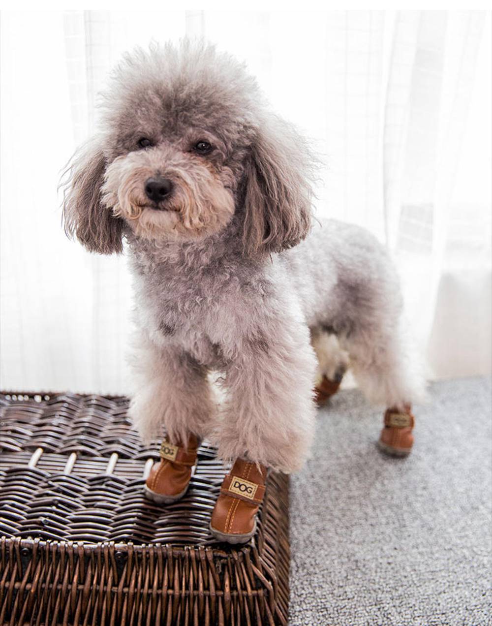 Dog Australia Waterproof Fleece-Lined Warm Dog Snow Boots by Furr Baby Gifts