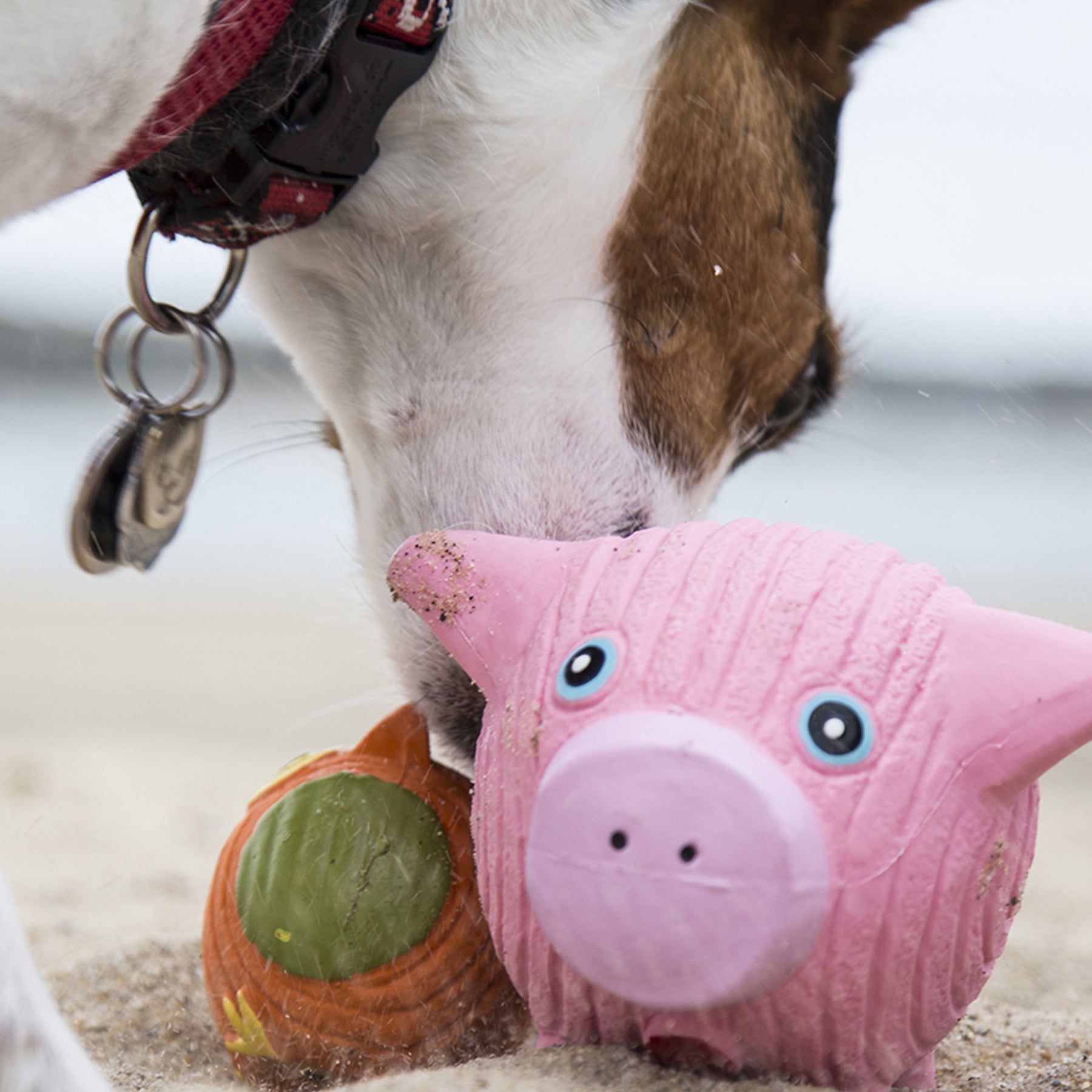 Hamlet Pig Ruff-Tex® Latex Ball Dog Toy, Large by HuggleHounds
