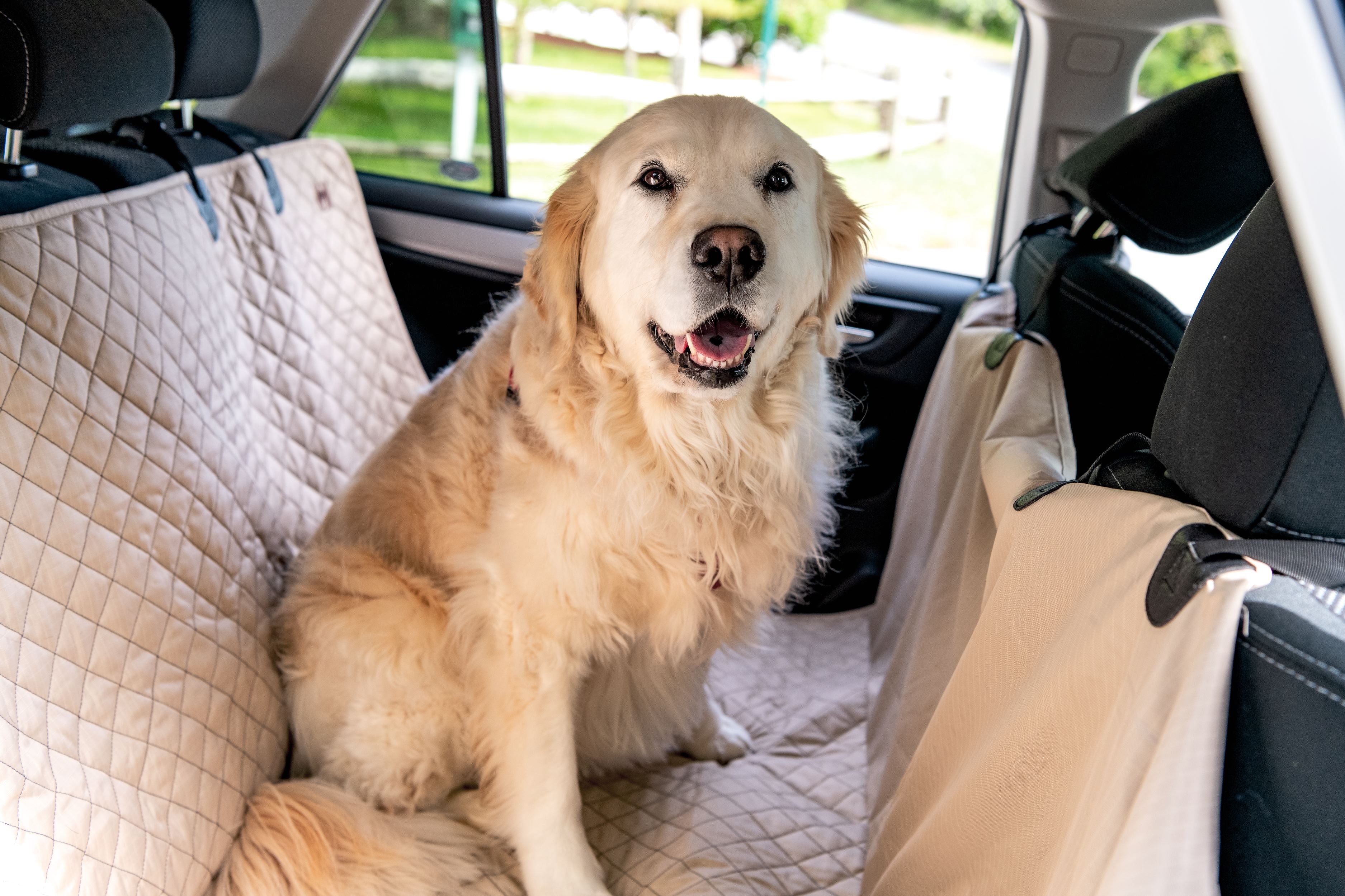 TuffutLuxx® Vehicle Protectors for Travel by HuggleHounds