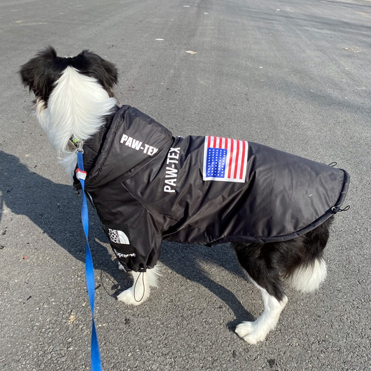 The Dog Face Windproof Waterproof Reflective Pet Cat Dog Jacket by Furr Baby Gifts