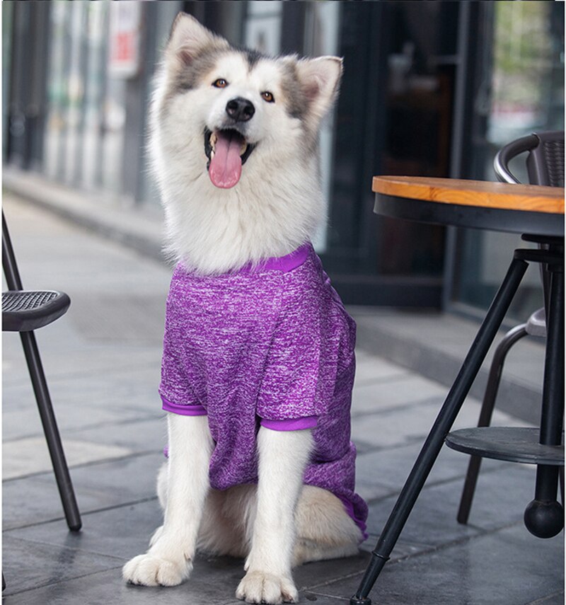 3XL-9XL Winter Warm Pet Sweater by Furr Baby Gifts