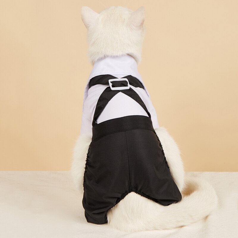 Handsome Stylish Pet Suit with Bow Tie by Furr Baby Gifts