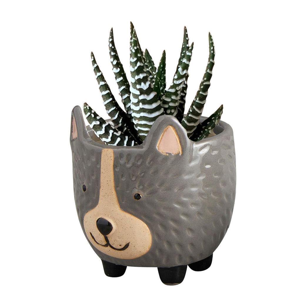 Hedgehog Pot | Decorative Ceramic Planter | 3.25" Tall by The Bullish Store