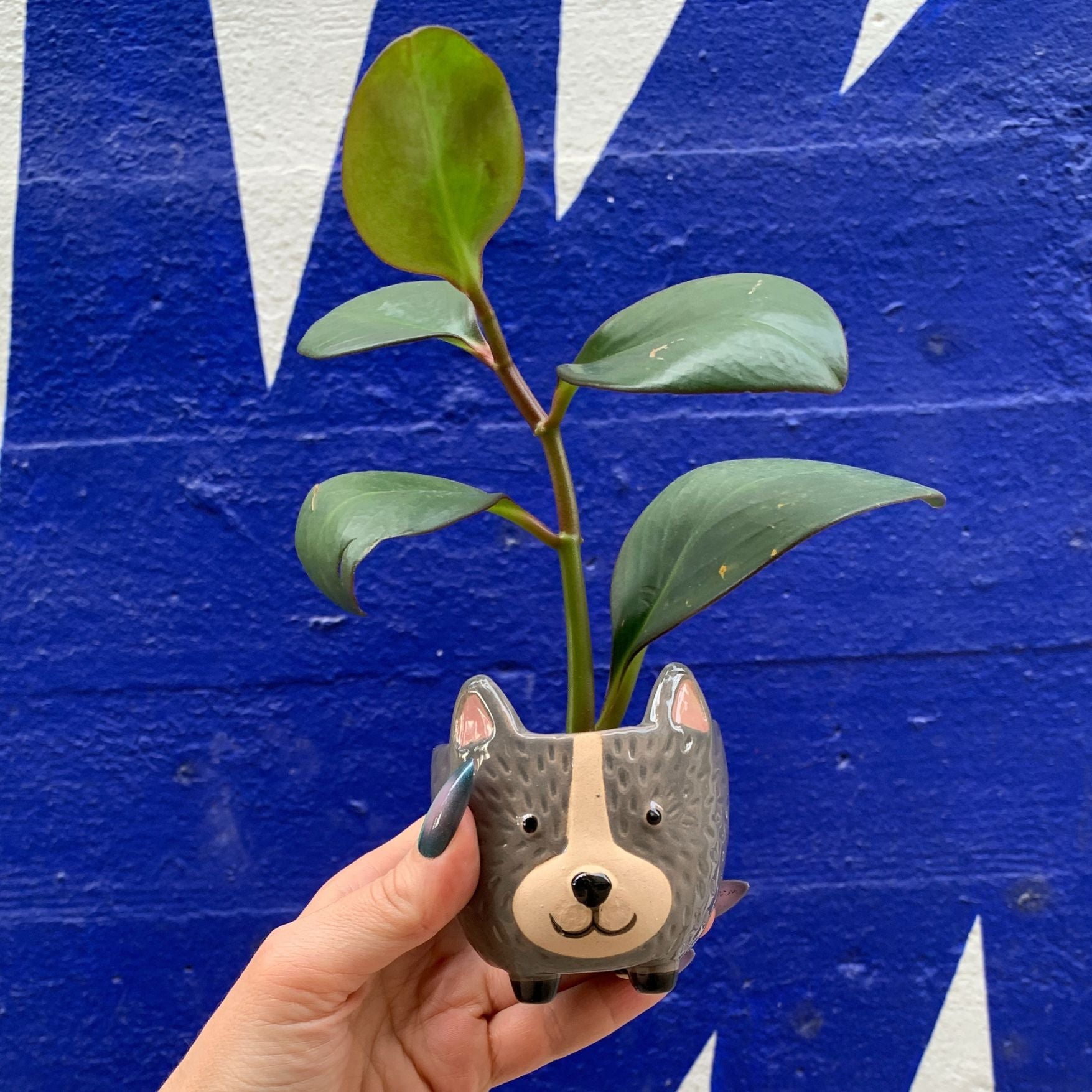 Hedgehog Pot | Decorative Ceramic Planter | 3.25" Tall by The Bullish Store