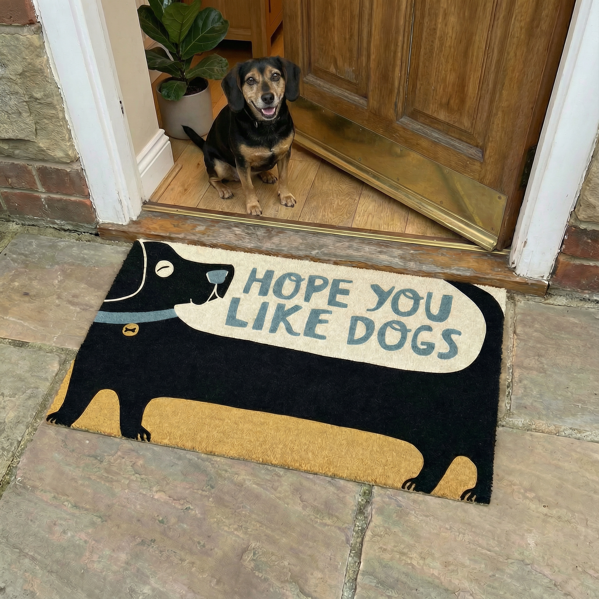 Hope You Like Dogs Entryway Indoor/Outdoor Rug | 34" x 20" | Slip-Resistant Backing by The Bullish Store