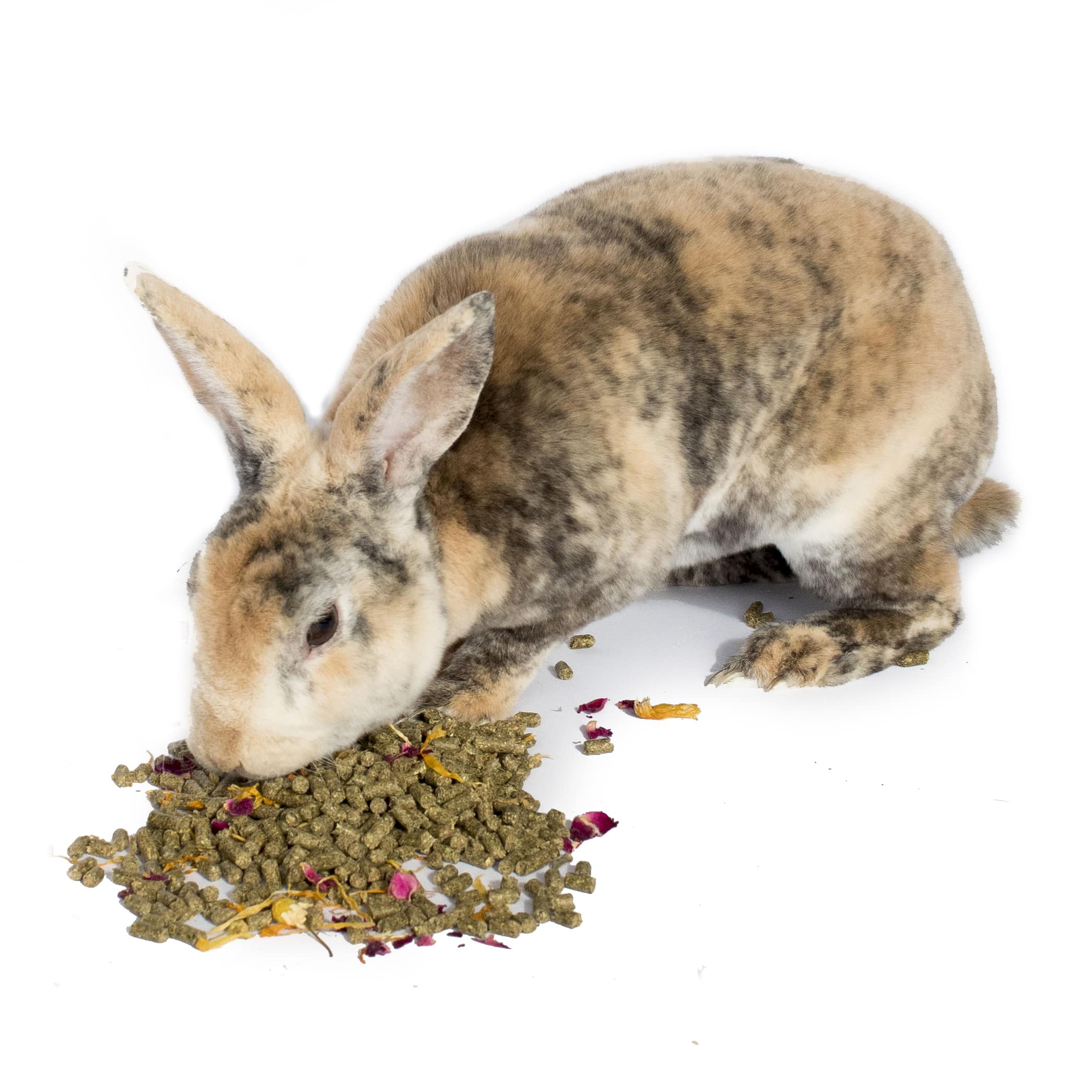 BunLuv Herbal Rabbit Feed by Dahlia Pets
