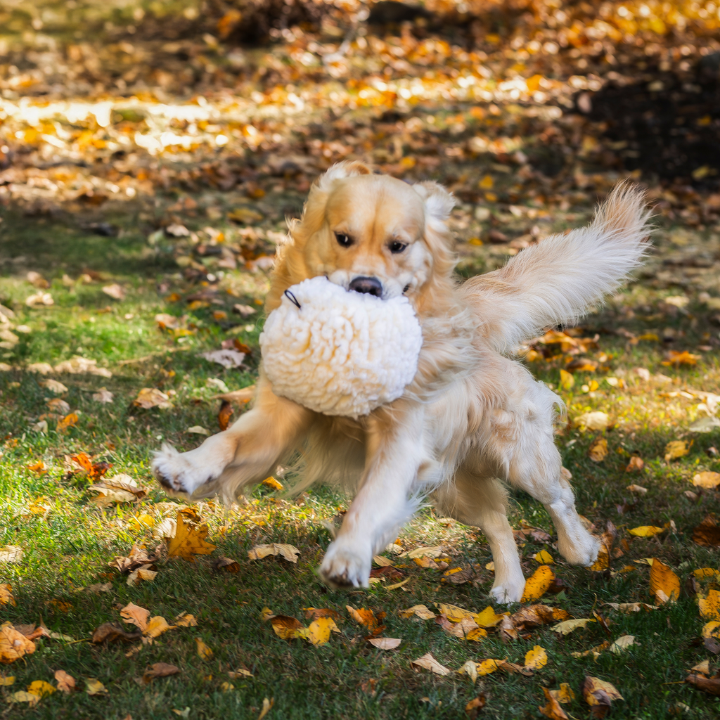 HuggleFleece® Plush Ball Dog Toy by HuggleHounds