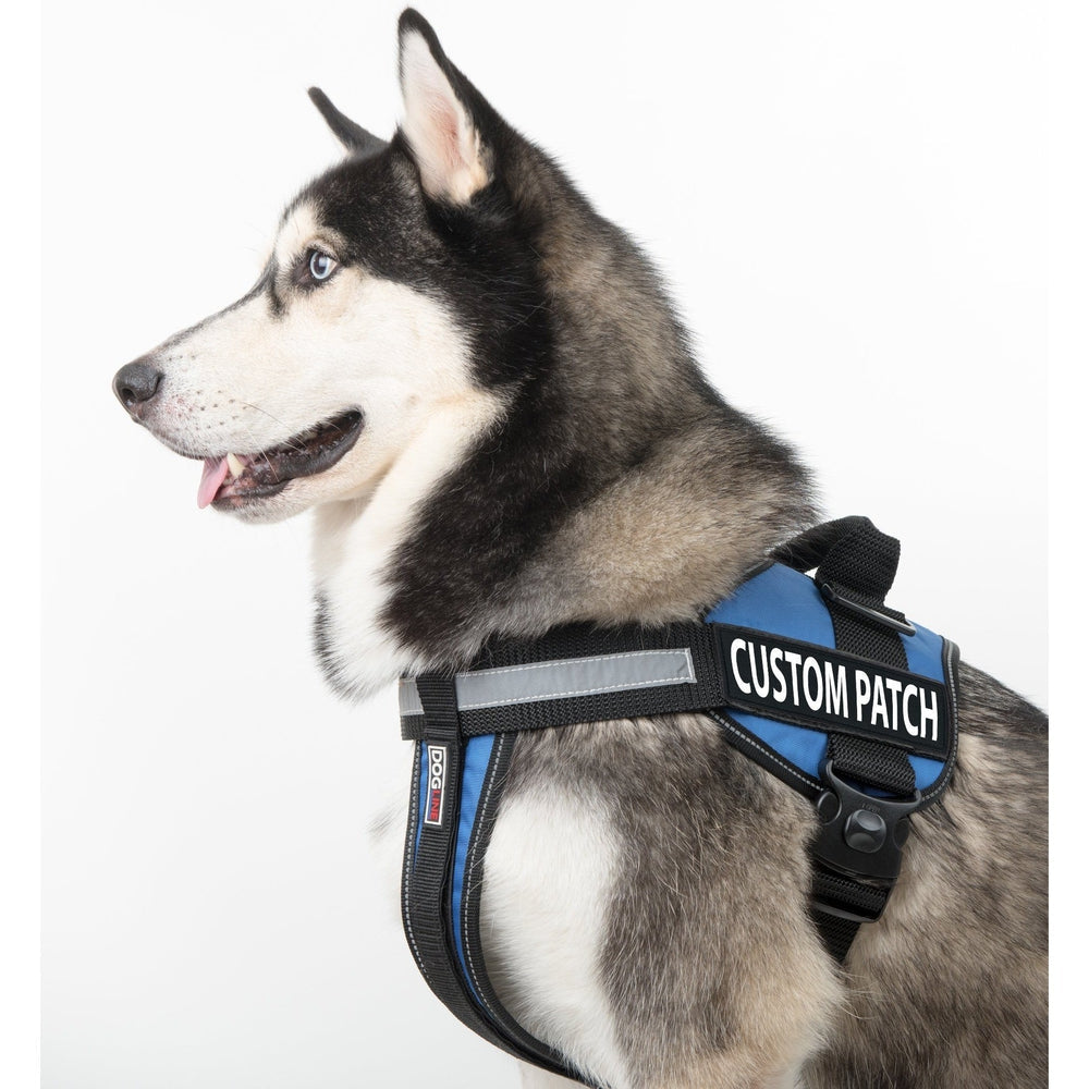 Personalized Removable Patches (Set of 2) by Dogline