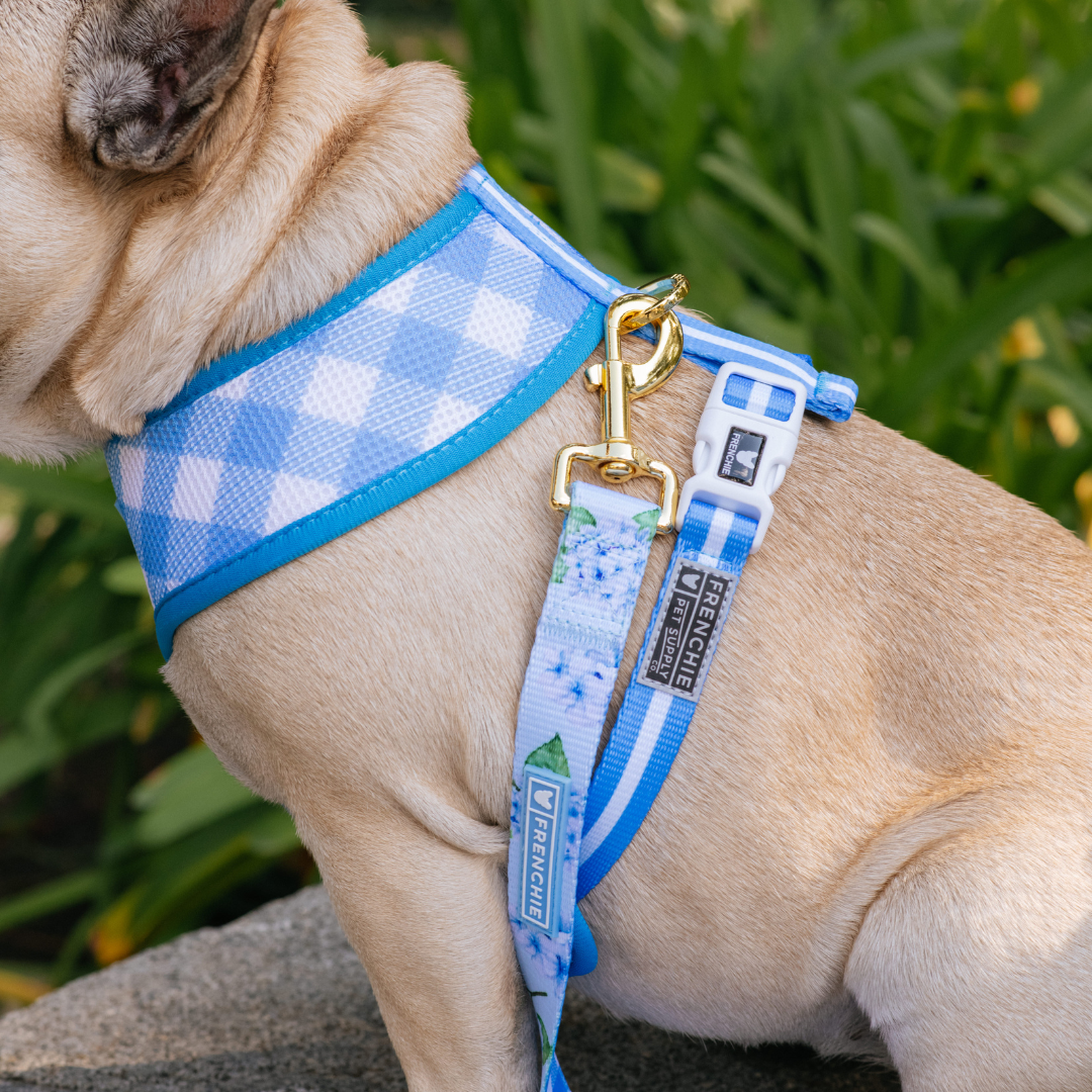 Frenchie Duo Reversible Harness - Hydrangea by Frenchie Bulldog