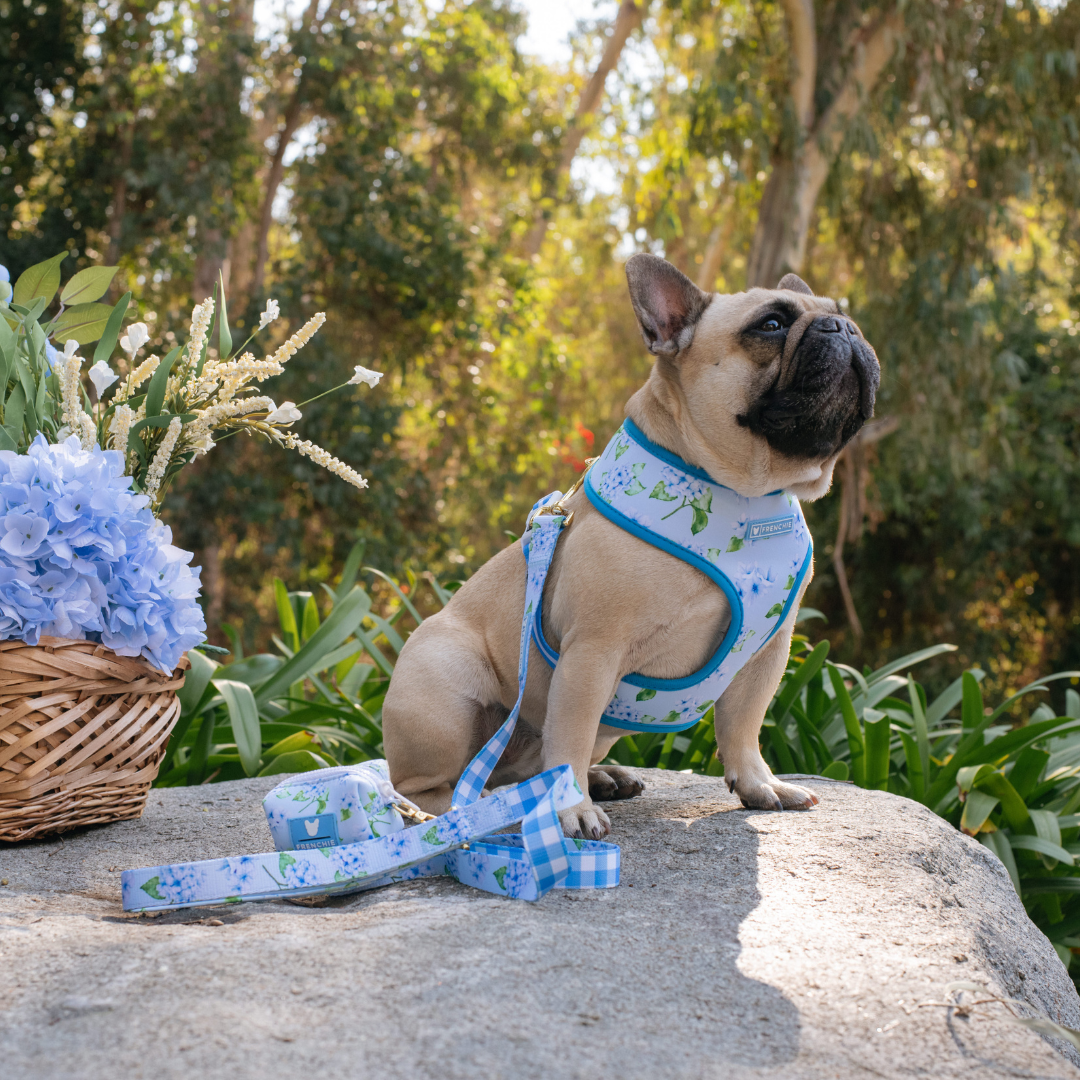 Frenchie Duo Reversible Harness - Hydrangea by Frenchie Bulldog
