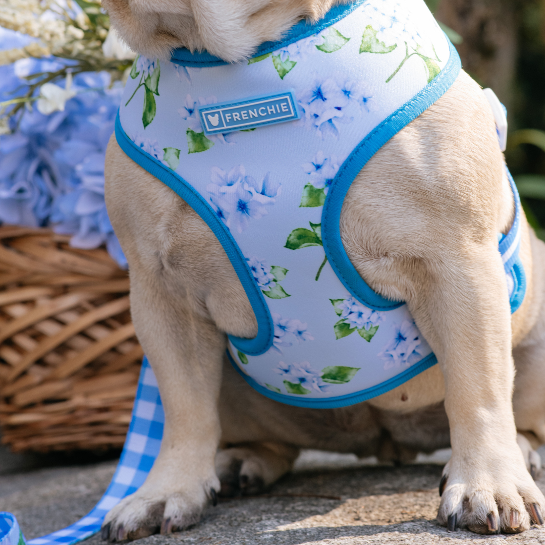 Frenchie Duo Reversible Harness - Hydrangea by Frenchie Bulldog