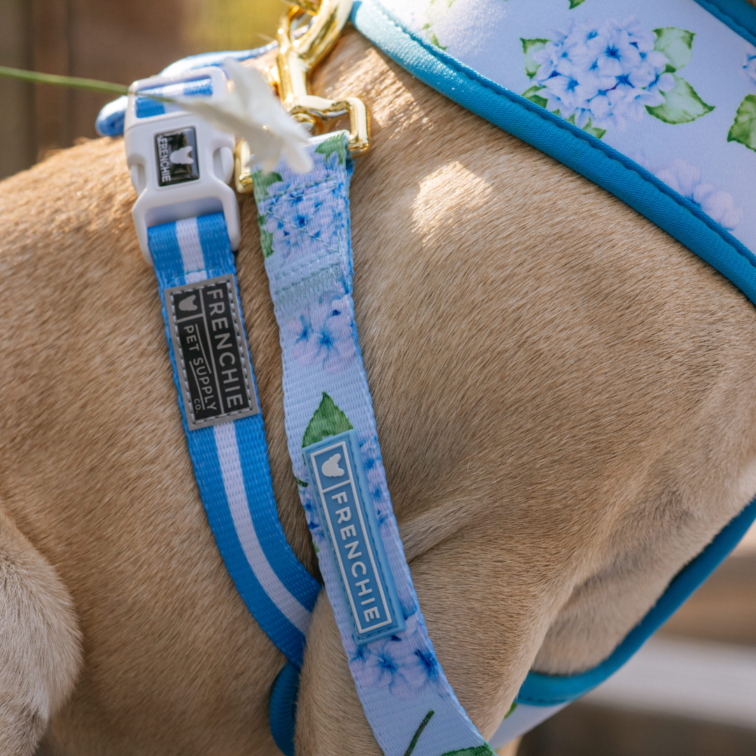 Frenchie Duo Reversible Harness - Hydrangea by Frenchie Bulldog