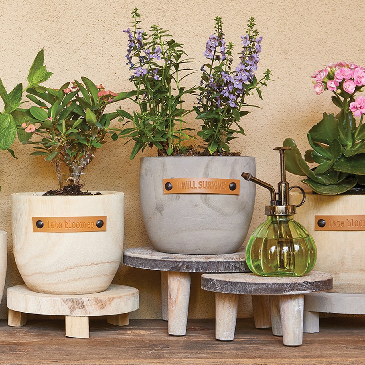 I Will Survive Paulownia Wood Planter | 5" Tall by The Bullish Store