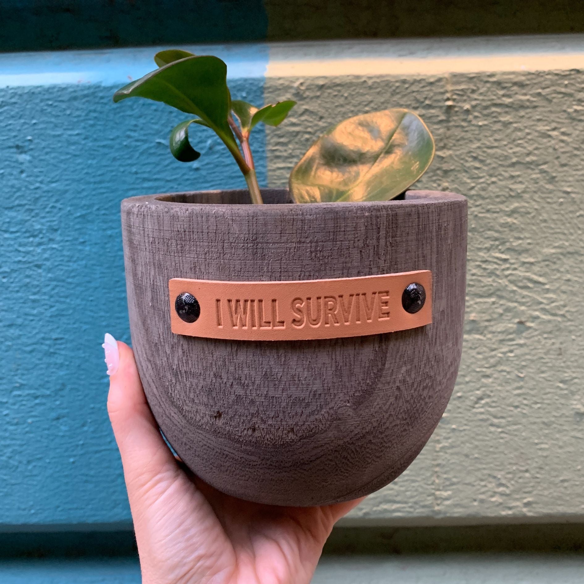 I Will Survive Paulownia Wood Planter | 5" Tall by The Bullish Store