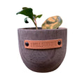 I Will Survive Paulownia Wood Planter | 5" Tall by The Bullish Store