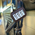 PRO4MANCE | # I.D. - Brown (Qty. 2, 4-digit) by ACE Equestrian