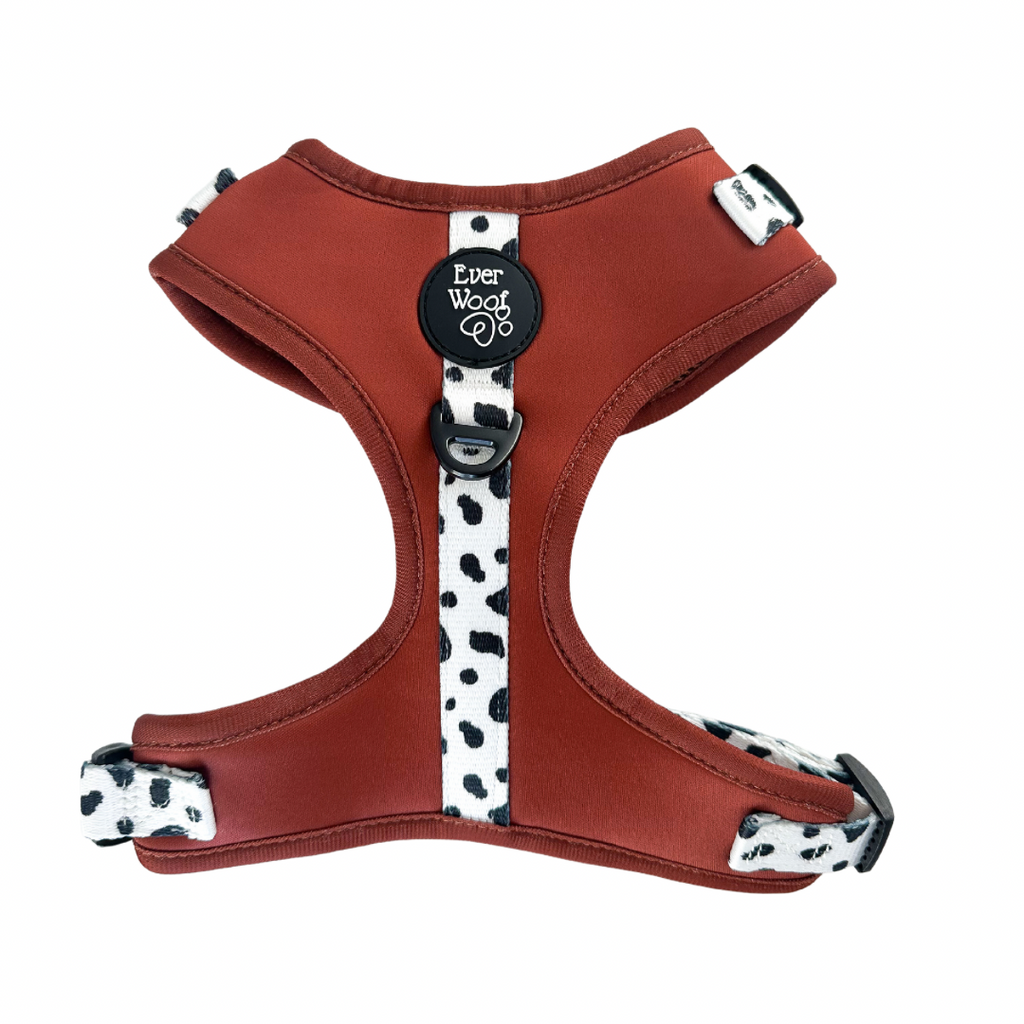 Spotted Ember Adjustable Harness