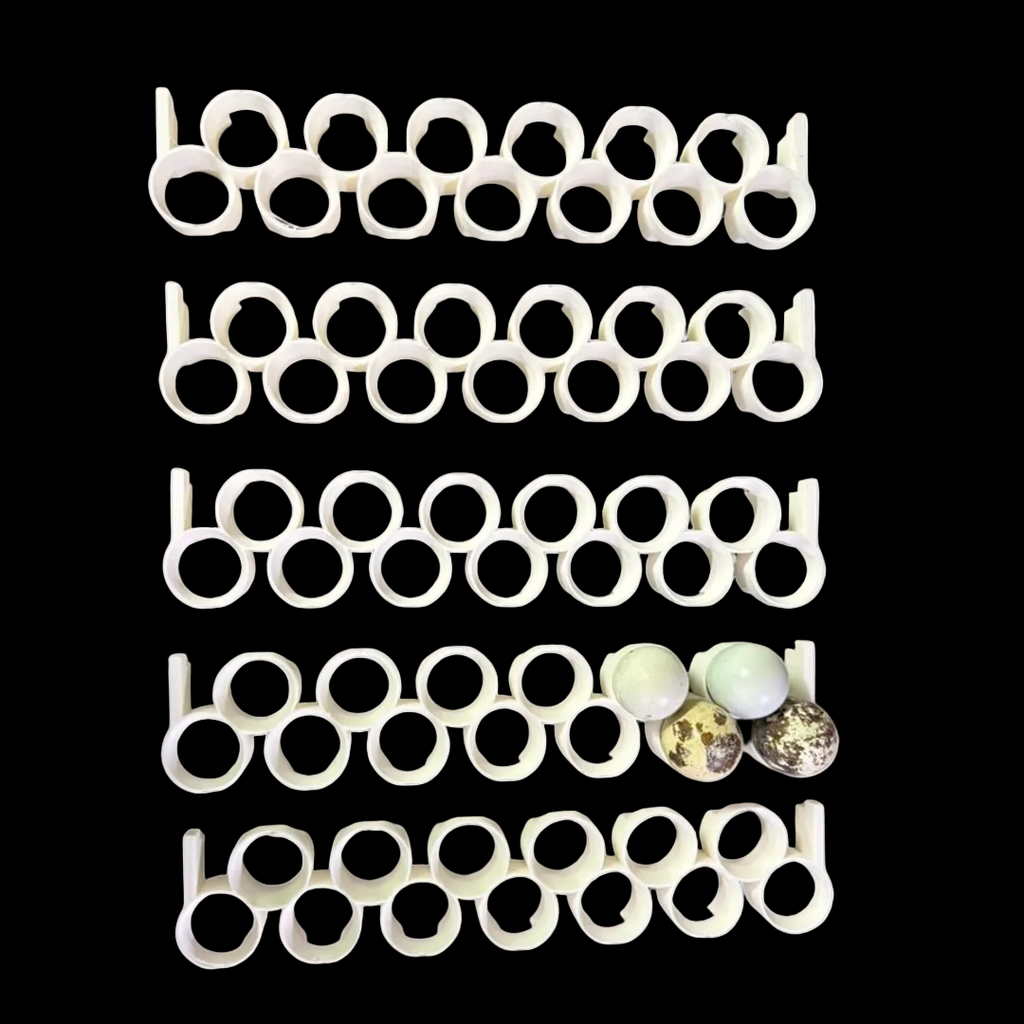 Jumbo Quail Egg Rails for Cimuka®/Hatching Time® Incubators (CT-Series, Pro24) and Maxicoopx incubators by Quailz.com by Undique LLC