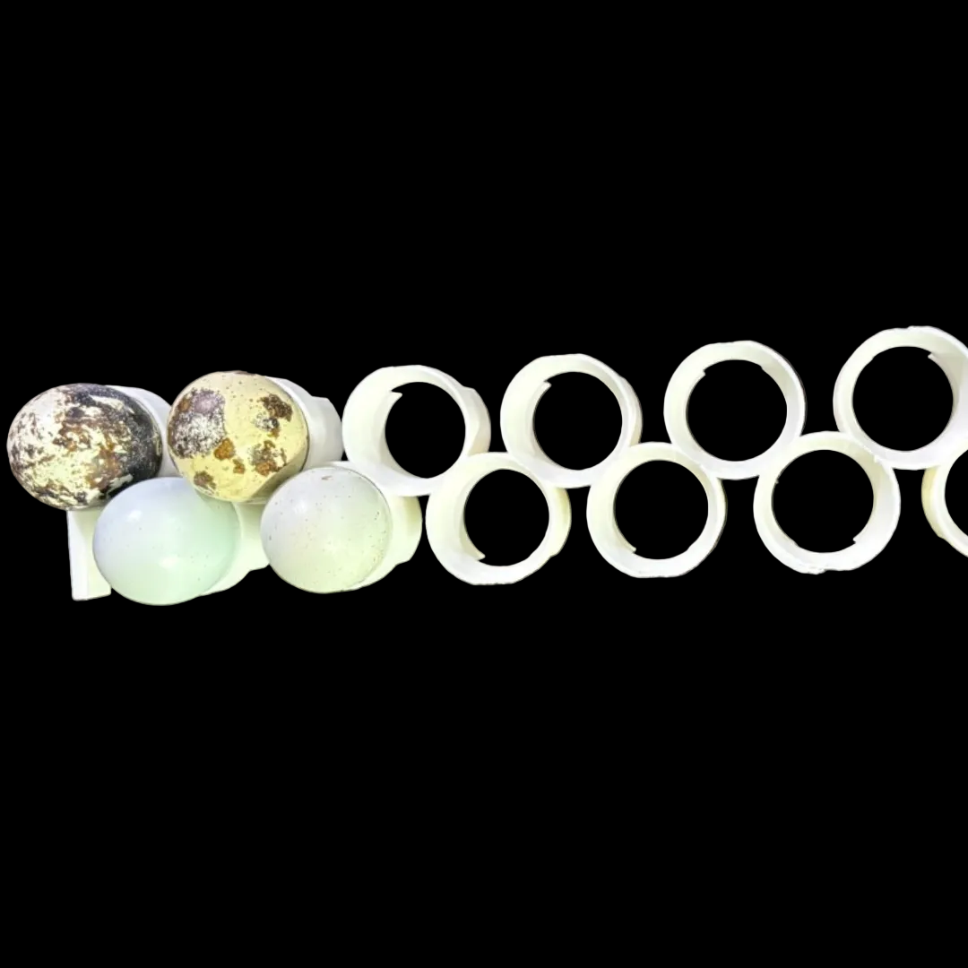 Jumbo Quail Egg Rails for Cimuka®/Hatching Time® Incubators (CT-Series, Pro24) and Maxicoopx incubators by Quailz.com by Undique LLC