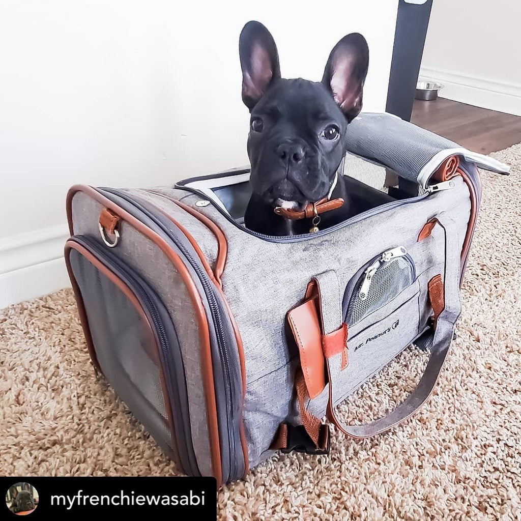 Mr. Peanut's Gold Series Standard Size Airline Compliant Pet Carrier by Mr. Peanut's Pet Carriers