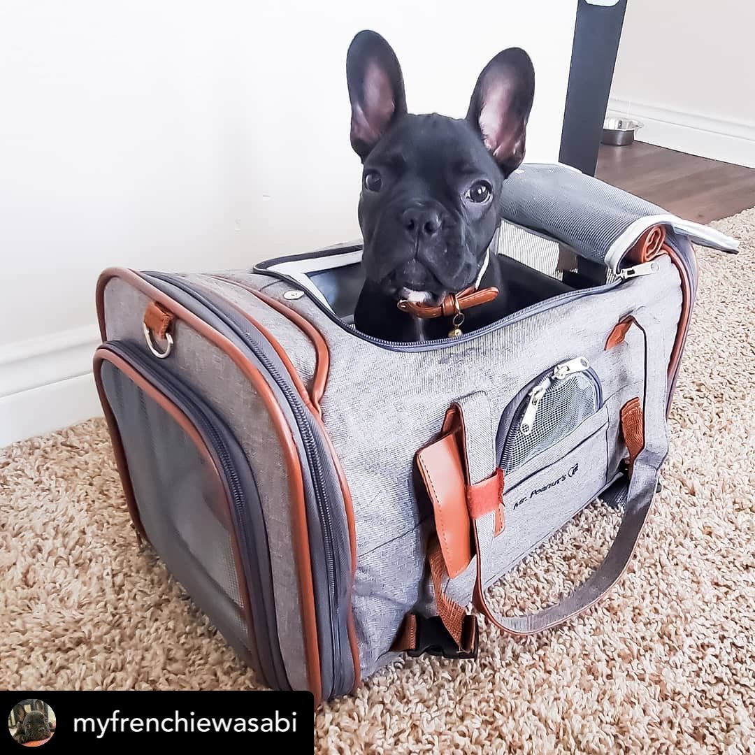 Mr. Peanut's Gold Series Standard Size Airline Compliant Pet Carrier by Mr. Peanut's Pet Carriers