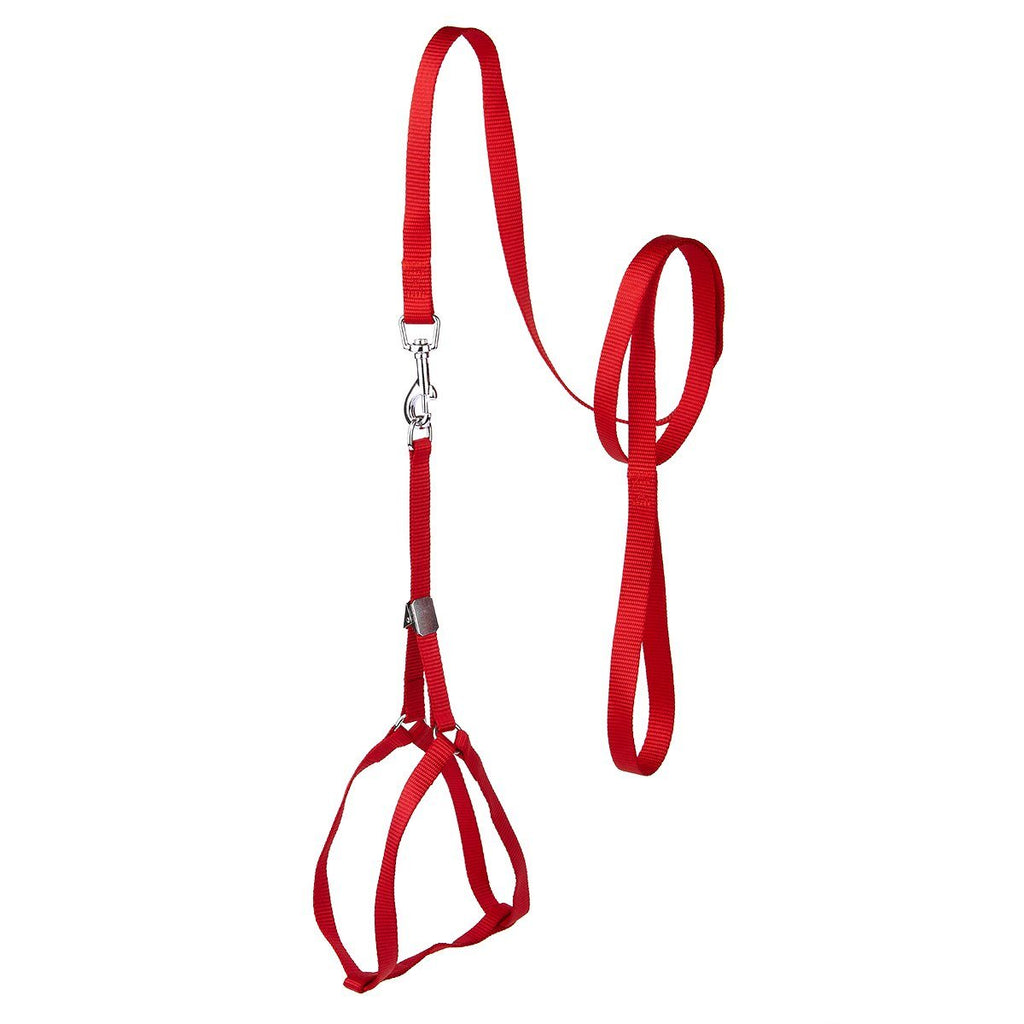 Step-In Nylon Dog Harness + Optional Flower Dog Leash by Dogline
