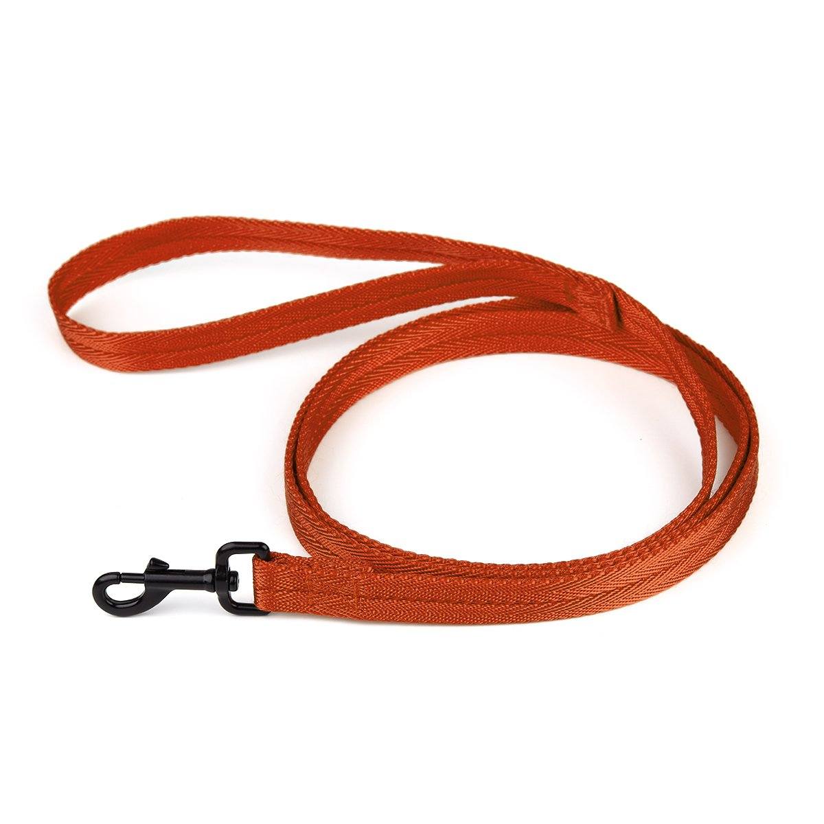 Nylon Flat Dog Leash by Dogline