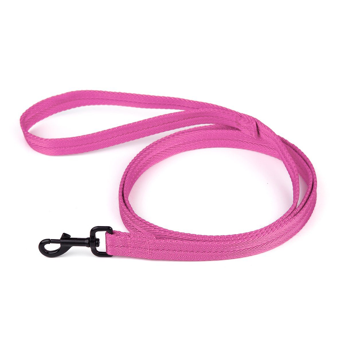 Nylon Flat Dog Leash by Dogline