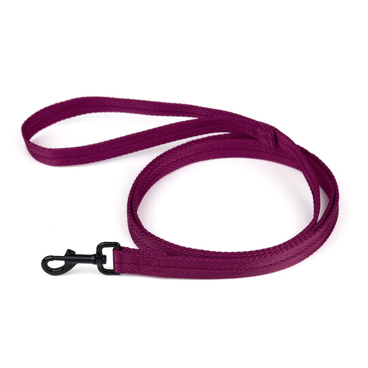Nylon Flat Dog Leash by Dogline