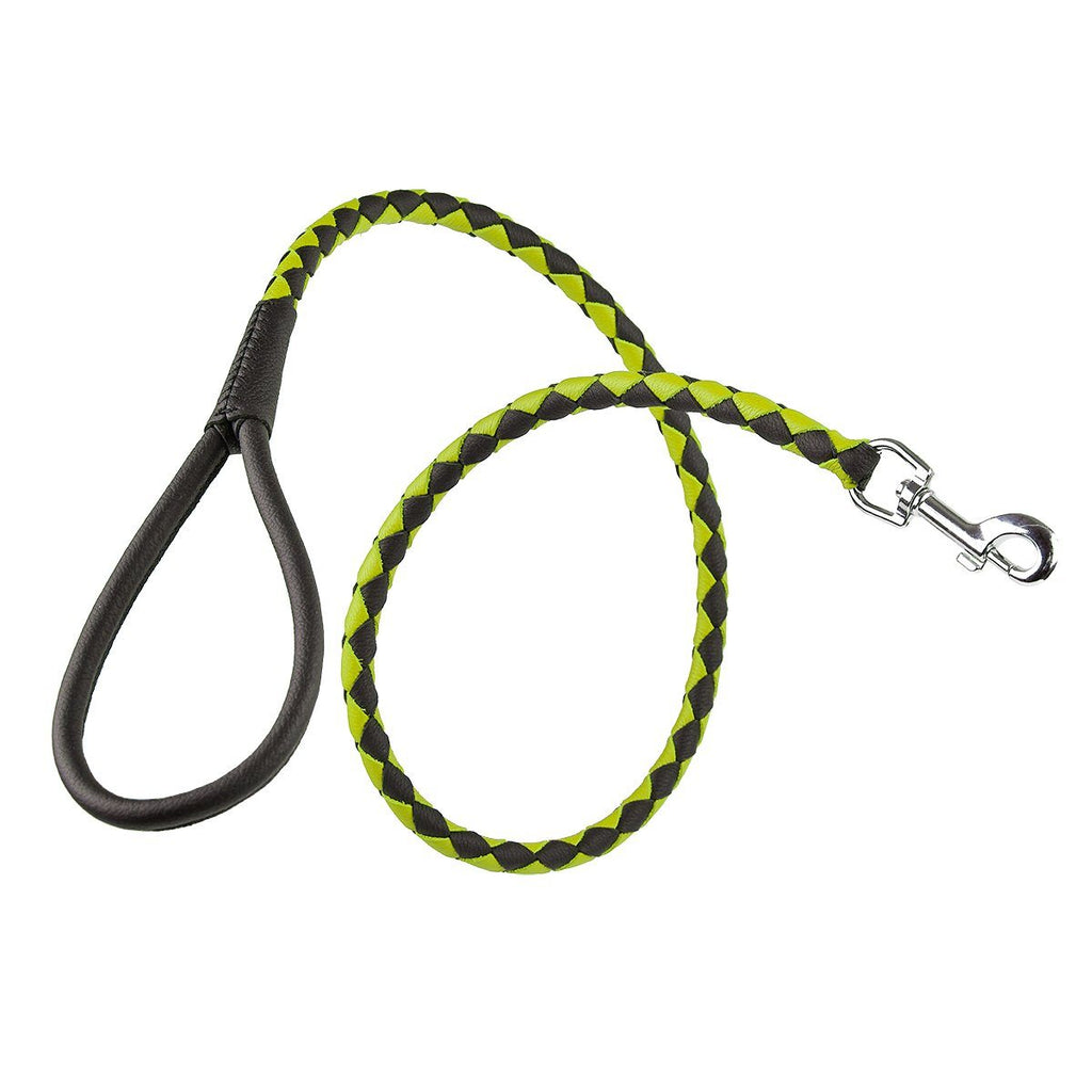Soft Leather Dual-Color Braided Round Lead by Dogline