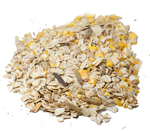 Cold Winter Nights - Warm Oatmeal Treat for Extra Calories by Dahlia Pets