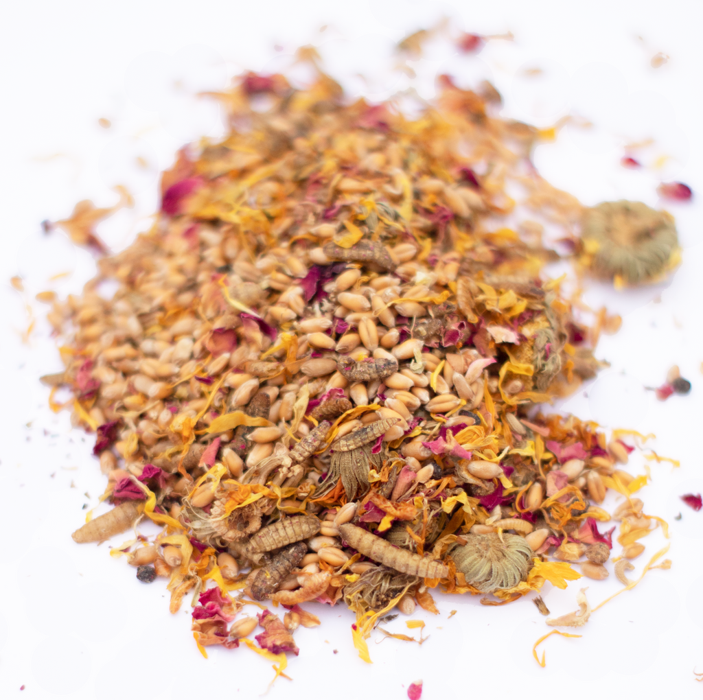 PowerHen (TM) High Protein Treat With Mealworms, Black Soldier Fly Larvae, & Herbs For Backyard Chickens by Dahlia Pets